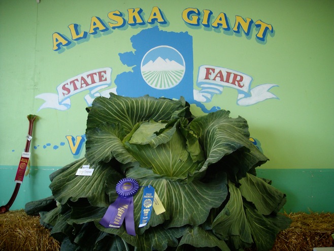 Alaska State Fair
